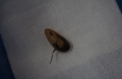 2015091103.jpg