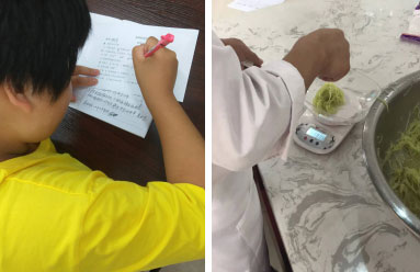 图片4.jpg 图片4.jpg