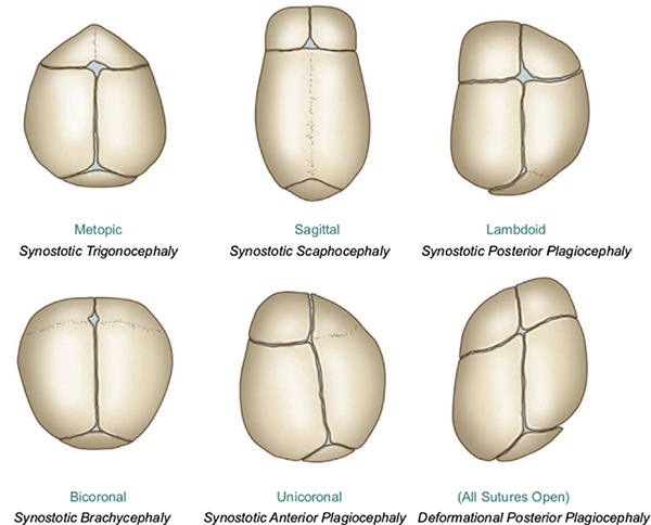 图片17.jpg 图片17.jpg
