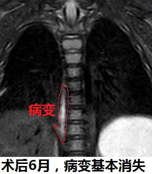图片5.jpg 图片5.jpg
