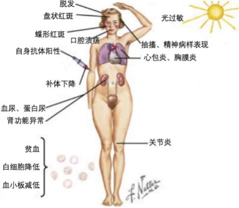 图片68.jpg