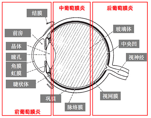 图片81.jpg