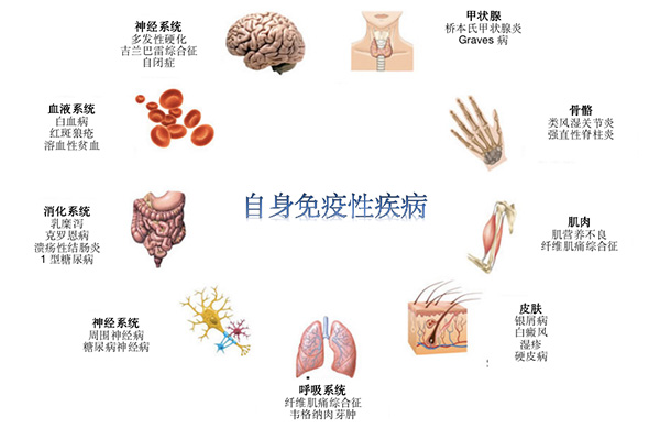 图片84.jpg