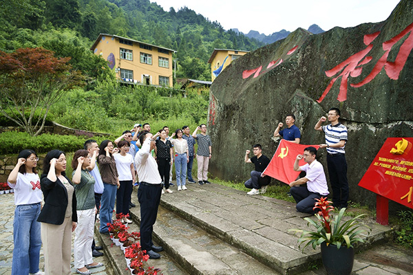 图片14.jpg 图片14.jpg