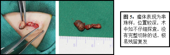 QQ截图20211102114653.jpg QQ截图20211102114653.jpg