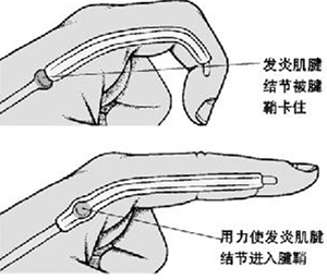 图片7.jpg 图片7.jpg