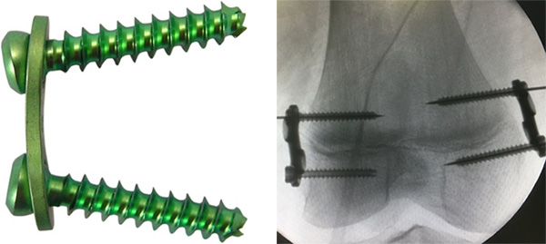图片8.jpg 图片8.jpg