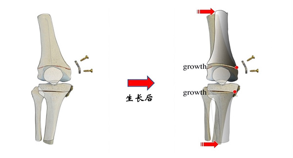 图片10.jpg 图片10.jpg