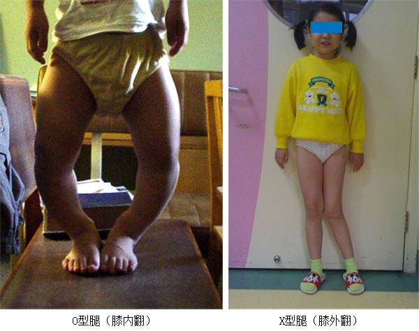 图片11.jpg 图片11.jpg