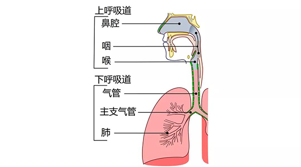 640 (1).jpg 640 (1).jpg