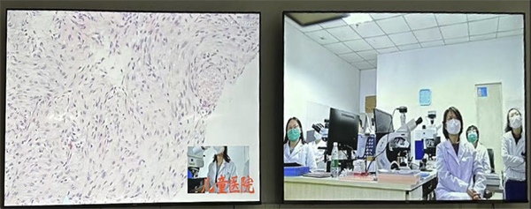 图片3.jpg 图片3.jpg