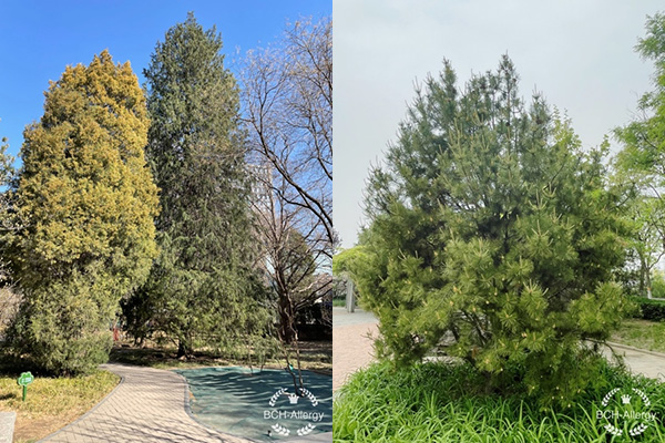 图片32.jpg 图片32.jpg