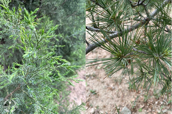 图片34.jpg 图片34.jpg