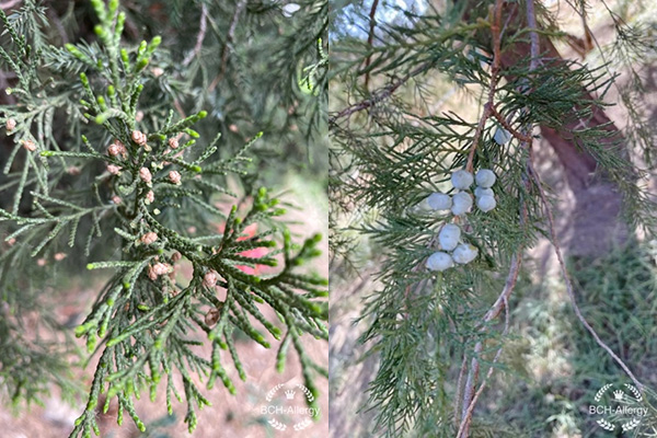 图片36.jpg 图片36.jpg