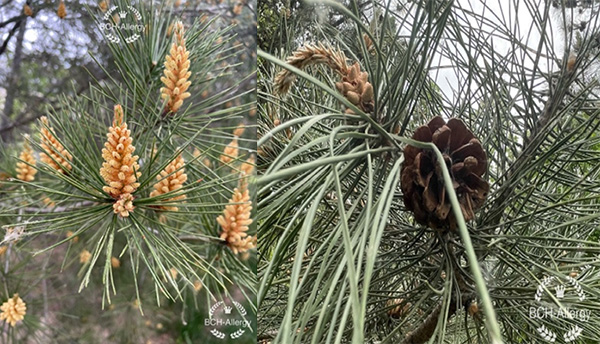 图片38.jpg 图片38.jpg