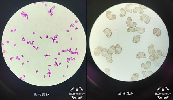 图片40.jpg 图片40.jpg