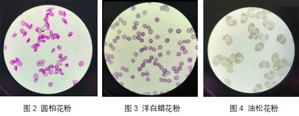 未标题-1.jpg 未标题-1.jpg