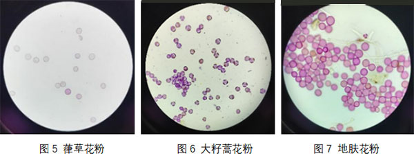 未标题-2.jpg 未标题-2.jpg