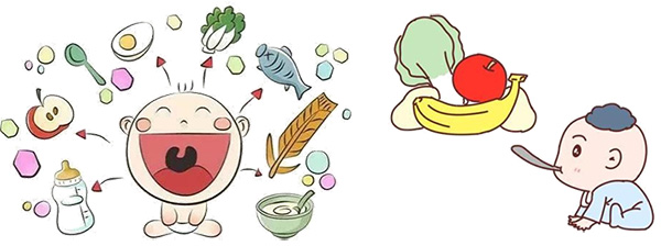 图片55.jpg 图片55.jpg