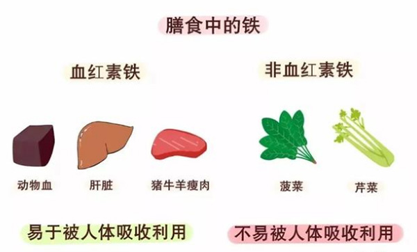 图片12.jpg 图片12.jpg