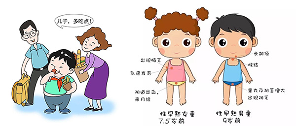 图片8.jpg 图片8.jpg