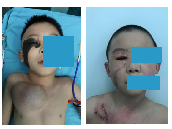 图片4.jpg 图片4.jpg