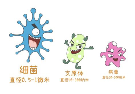 图片6.jpg 图片6.jpg