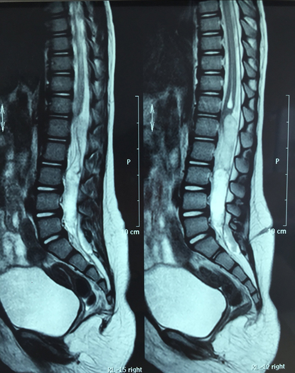 图片16.jpg 图片16.jpg