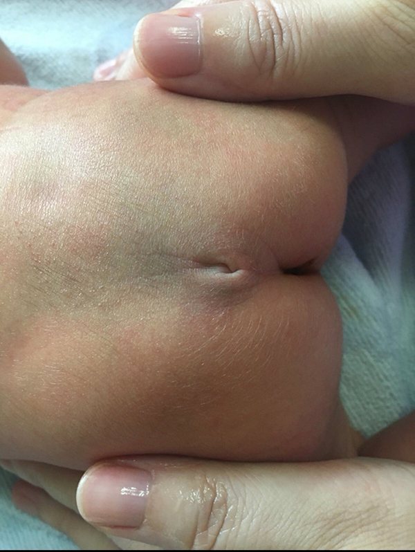 图片19.jpg 图片19.jpg