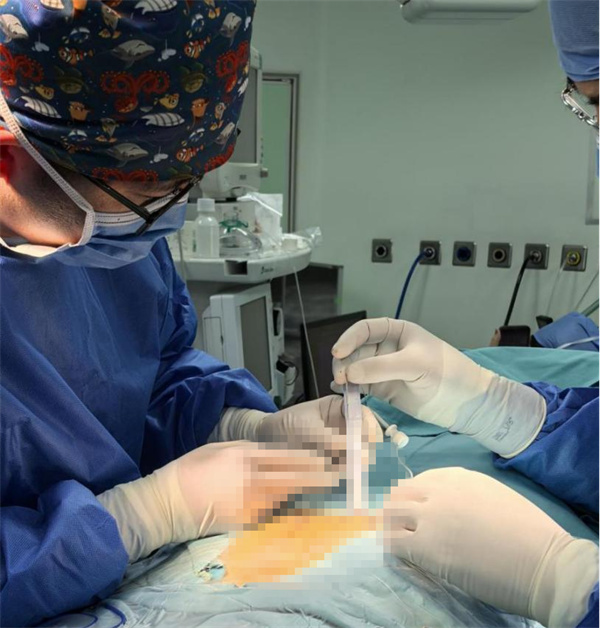 图片2.jpg 图片2.jpg