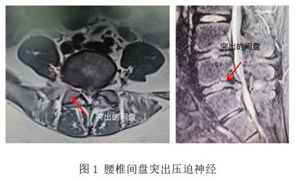 图片 1.jpg