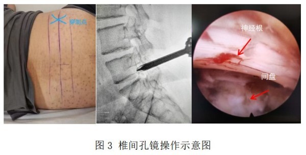 图片 3.jpg