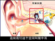 小儿中耳炎(上)