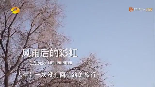 风雨后的彩虹